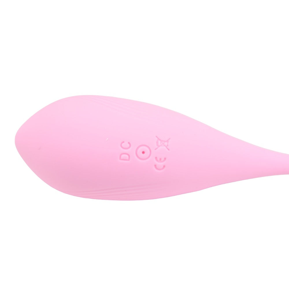Loving Joy Remote Controlled Vibrating Egg love egg vibraattori