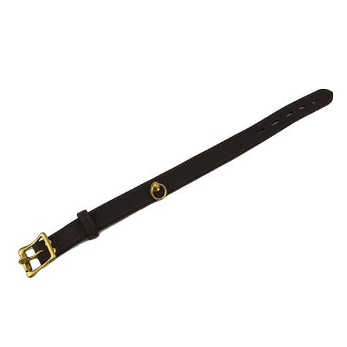 BOUND Nubuck Leather Choker with 'O' Ring - intimi