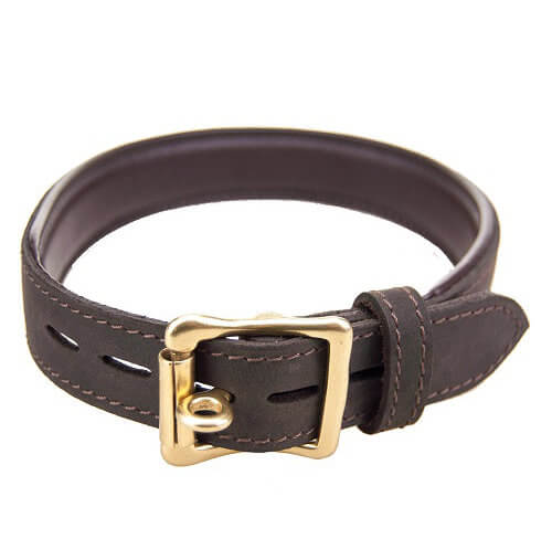 BOUND Nubuck Leather Choker with 'O' Ring - intimi