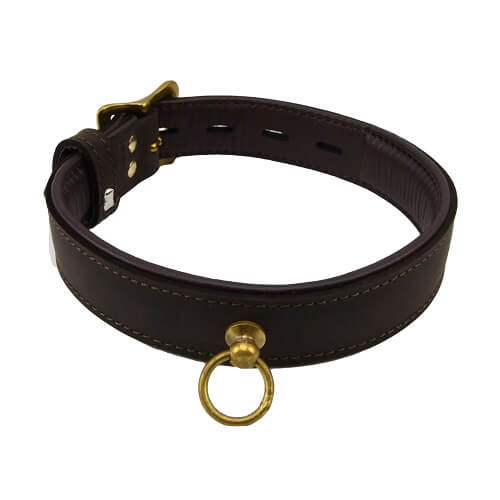 BOUND Nubuck Leather Choker with 'O' Ring - intimi